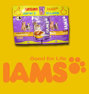 Акция  «IAMS» (Ямс) «IAMS Kitten — пауч в подарок»