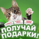 Акция  «Kitekat» (Китекат) «Борис - проказник дарит праздник!»