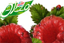 Акция мороженого «Эkzo» (www.ekzo-promo.ru) «Эkzo. Я не овощ, я фрукт»