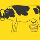 Акция сыра «Frico» (Фрико) «Закон сохранения молока: 10 л молока = 1 кг сыра Frico»