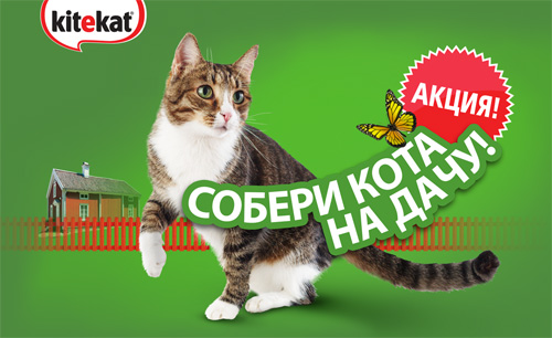 Акция  «Kitekat» (Китекат) «Собери кота на дачу!»