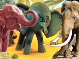 Конкурс  «Аргументы и факты» (www.aif.ru) «Всемирный день слонов: Ответьте на 7 вопросов и получите подарки»