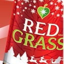 Конкурс  «Red Grass» (Ред Грасс) «Помощник Санты»