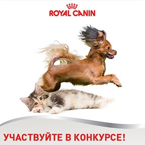 Конкурс  «Royal Canin» (Роял Канин) «Весенний конкурс»