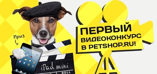 Конкурс Petshop.ru: «Первый видеоконкурс в Petshop.ru»