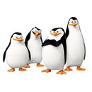 Конкурс газеты «Metro International» (Метро) «Стань пингвином и путешествуй по следам «Пингвинов Мадагаскара»