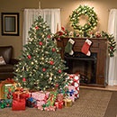 Фотоконкурс  «Dr. Oetker» (www.oetker.ru) «Christmas Tree»