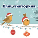 Викторина  «MyToys.ru» «Новогодняя»