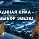 Конкурс Koolinar.ru: «Лошадиная сила – выбор звезд»