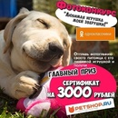 Фотоконкурс  «Petshop.ru» «Любимая игрушка моей зверушки»