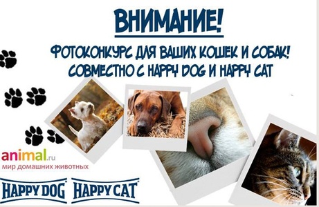 Фотоконкурс  «Happy Dog» (Хеппи Дог) «Animal.ru совместно с Happy Dog и Happy Cat»