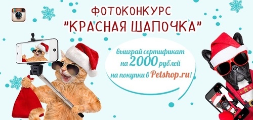 Фотоконкурс  «Petshop.ru» «Красная шапочка»