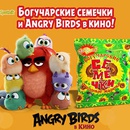 Акция  «Богучарские семечки» «Богучарские семечки и Angry Birds в кино»
