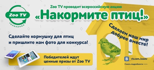 Zoo TV -«Накормите птиц».