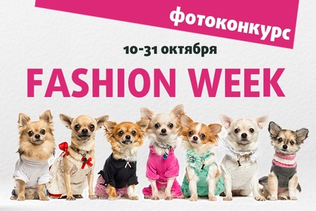 4 лапы- «fashion week»