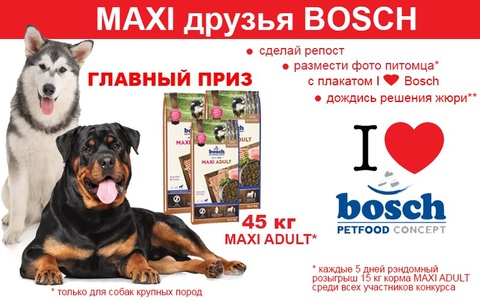 Maxi друзья Bosch