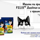 Акция  «Felix» (Феликс) «Кубок Феликса 2018»
