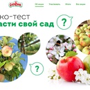 Викторина  «Спеленок» (spelenok.com) «Вырасти свой сад»