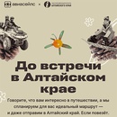Конкурс  «Aviasales.ru» «До встречи в Алтайском крае»
