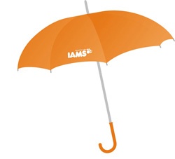 Зонт IAMS