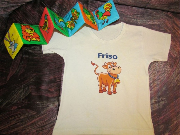Приз акции Friso «Волшебное лето c Friso» 
