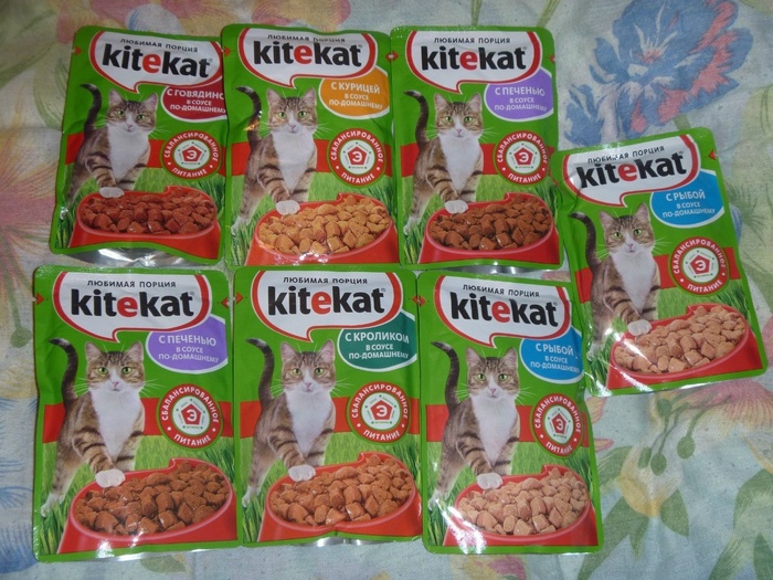 Приз акции Kitekat «Собери кота на дачу!»