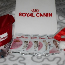 Три бесплатных билета на выставку Grand-Prix Royal Canin от Grand-Prix Royal Canin