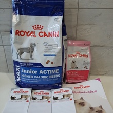 Получили набор для щенков и котят))) от Royal Canin
