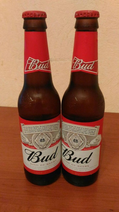 Приз акции Bud «Пиво каждому! 250000 BUD!»