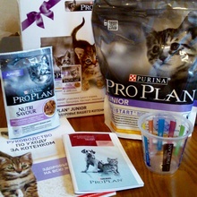 Подарочный набор для котёнка  от Pro Plan