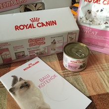 Подарочный набор для котенка от Royal Canin