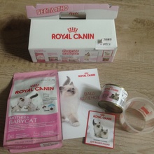 Привезли подарок на пробу котёнку от Royal Canin
