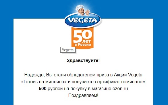 Приз акции Vegeta «Готовь на 1 000 000 рублей»