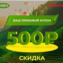 Сертификат на 500 рублей от Kamis