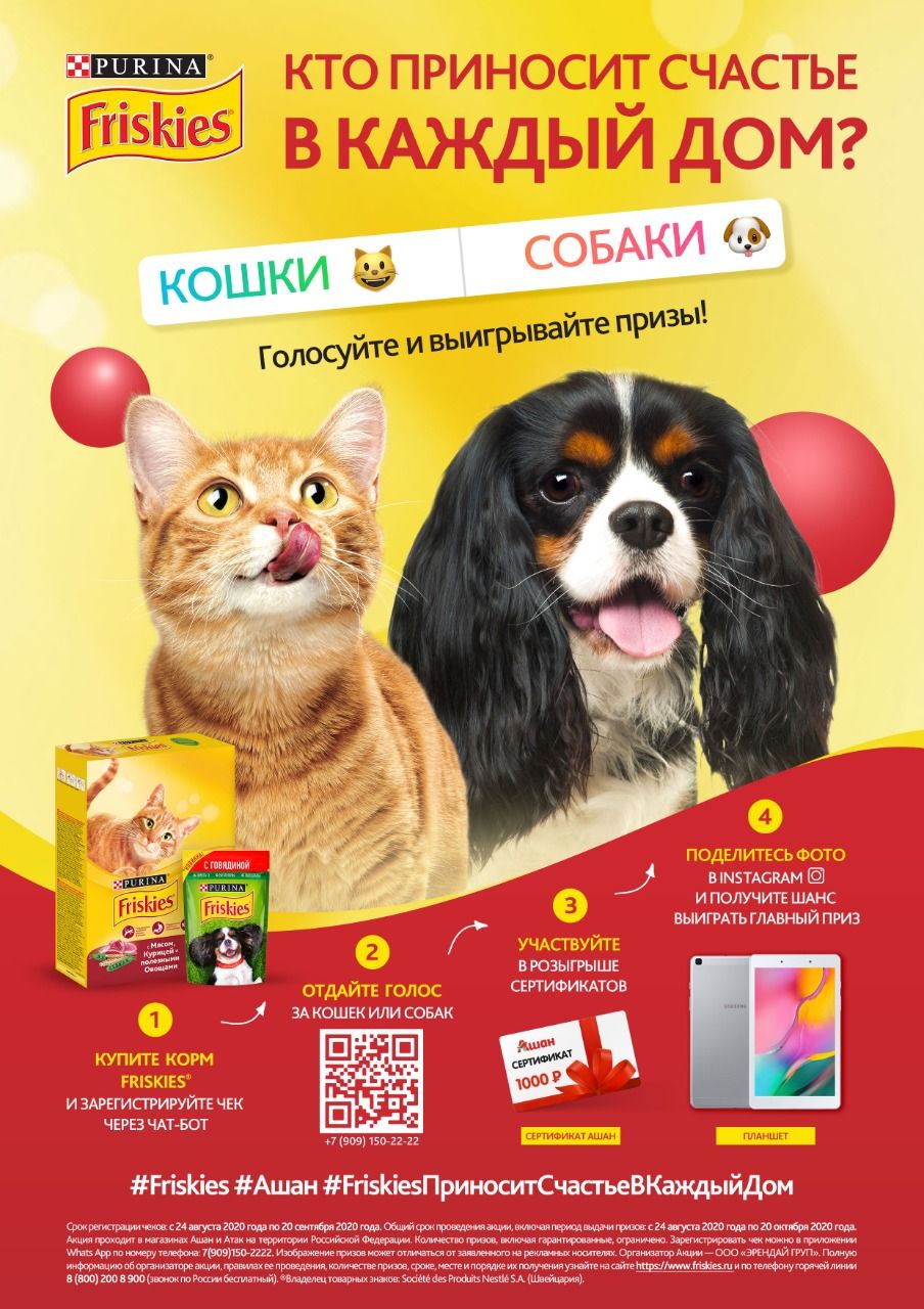 Акция Friskies и Ашан, Атак: «Friskies Счастье в каждый дом»