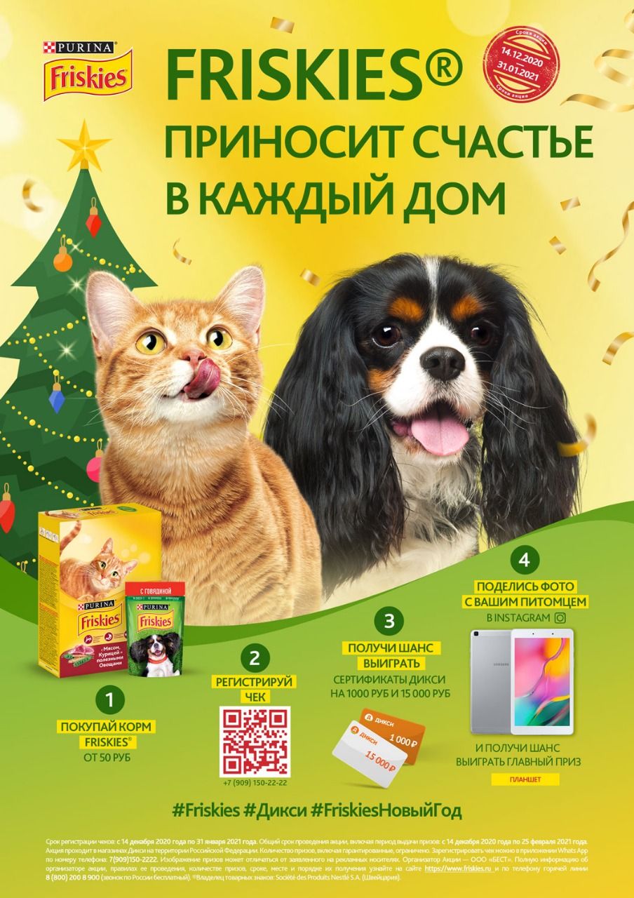 Акция Friskies и Дикси: «Счастье в каждый дом»