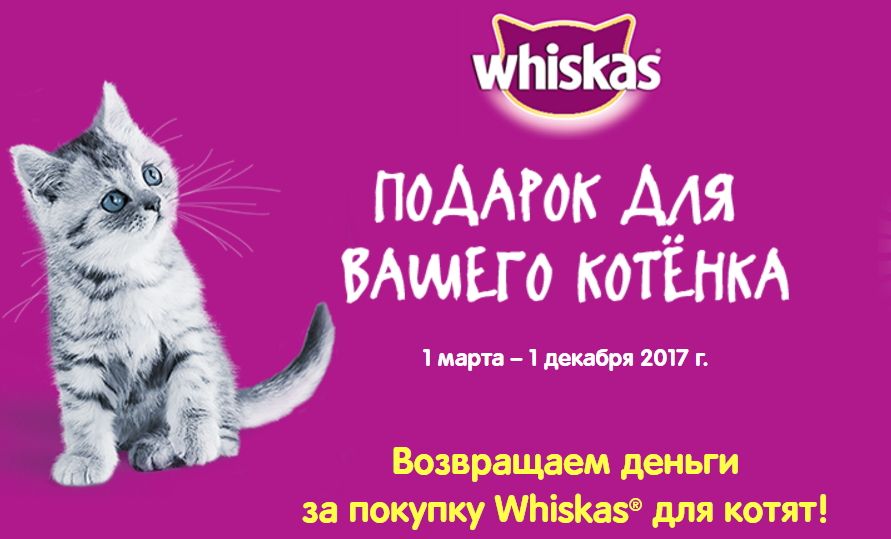 Акция Whiskas: «Подарок для вашего котенка» | 4печника.рф