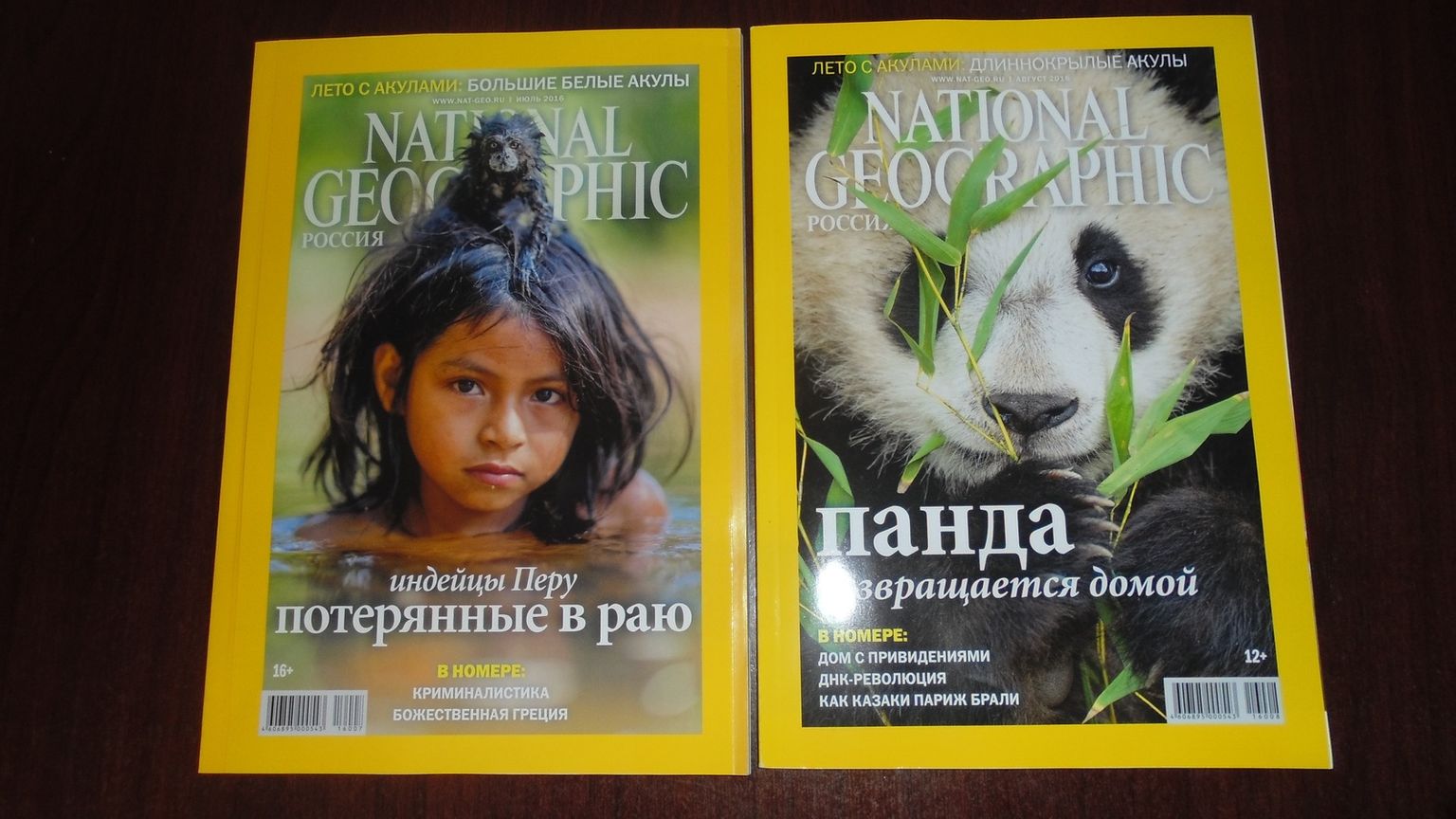 Фото года National Geographic. Черные образы - это тени зебр. | Наталья Гордеева | ВКонтакте