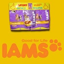 Акция  «IAMS» (Ямс) «IAMS Kitten — пауч в подарок»