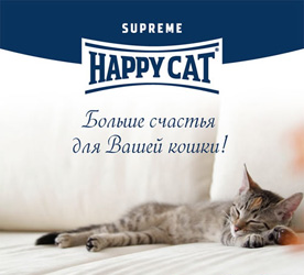 Акция  «Happy Cat» (Хеппи Кэт) «Купи Хэппи Кэт и получи бонус по сумме покупок»