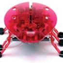 Конкурс журнала «Elle Girl» (Эль Герл) «Микро-робот «Жук»