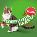 Акция  «Kitekat» (Китекат) «Собери кота на дачу!»