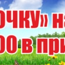 НМЗ -  «Уралочку на дачу — 100 000 в придачу»