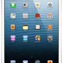 Apple iPad mini бесплатно от интернет аукциона GreedyBidder