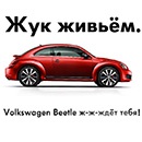 Конкурс  «Volkswagen» (Фольксваген) «Жук Живьем»