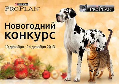 2013 Новогодний Конкурс