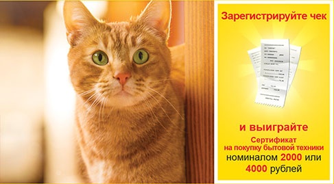 Акция  «Friskies» (Фрискис) «Ваш солнечный кот в дом уют принесет!»