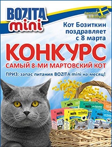 Фотоконкурс  «Bozita mini» (Бозита мини) «Самый 8-ми мартовский кот»