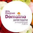 Конкурс  «Domalina» (Домалина) «С днем рождения, Domalina»