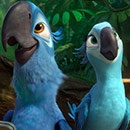 Викторина  «Счастливые родители» «Рио-2: по следам голубых попугаев»